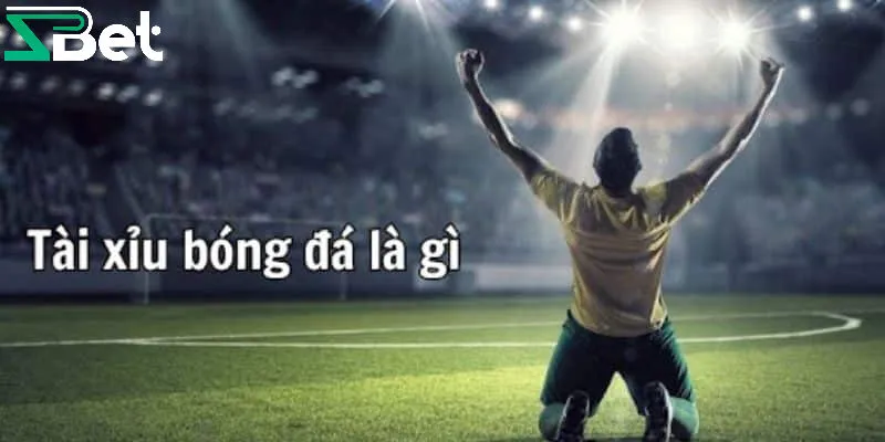 Tổng quan về kèo tài xỉu bóng đá hấp dẫn